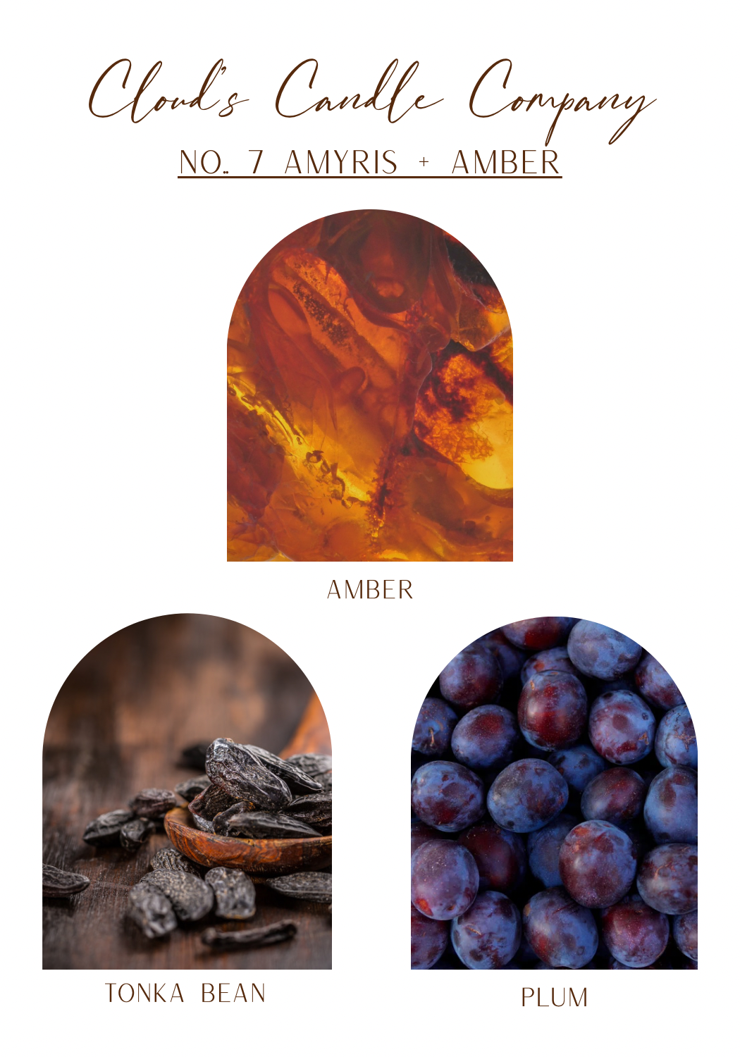 No. 7 Amyris + Amber - 16oz Candle